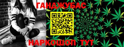 амф Новозыбков