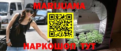 амф Новозыбков