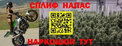 гашиш Новокубанск