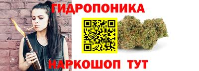 амф Новозыбков