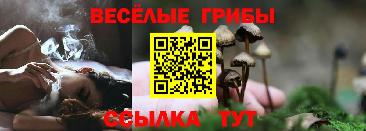 Галлюциногенные грибы Cubensis  Вход с VPN  наркотики  Новоуральск 