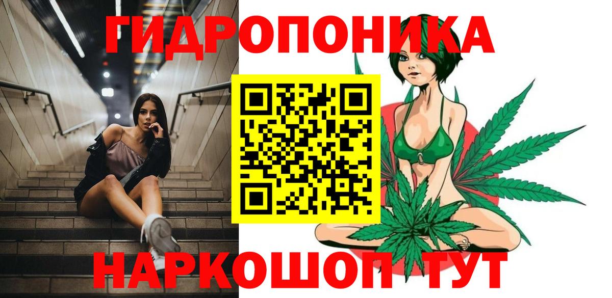 Каннабис план Новоуральск
